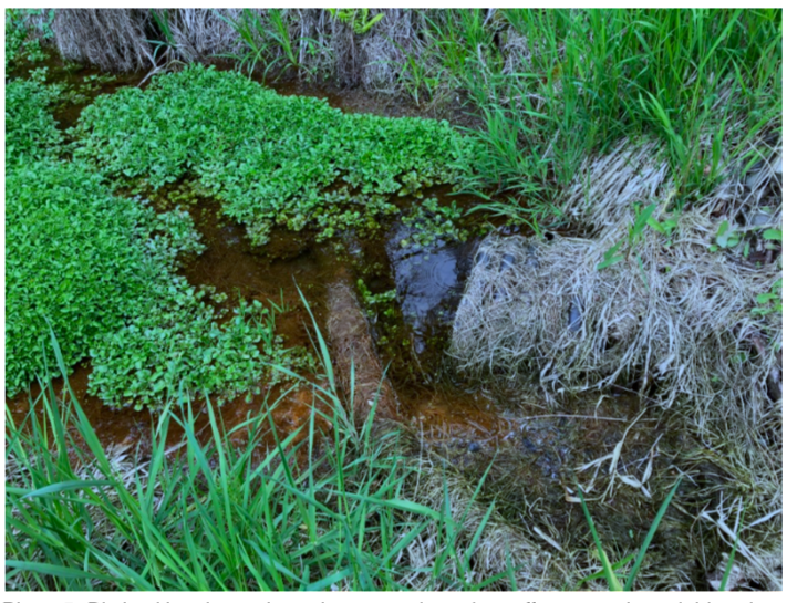 Culvert (MoE photo) 